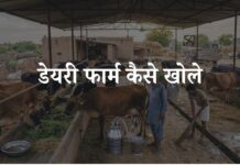 डेयरी फार्म कैसे खोले? डेयरी फार्म खोलने में कितना खर्च आता है dairy farm kaise khole