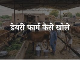 dairy farm kaise khole