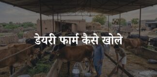 dairy farm kaise khole