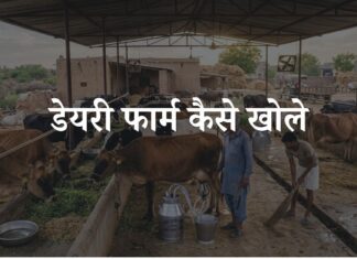 dairy farm kaise khole