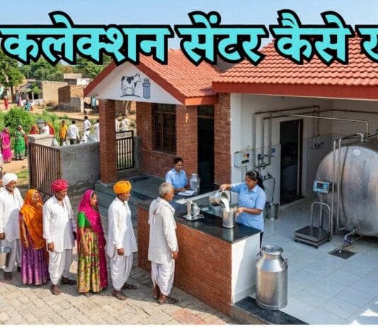 milk collection center kaise khole