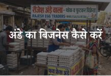 अंडे का बिजनेस कैसे करें? अंडे का बिजनेस शुरू करने की पूरी प्रक्रिया ande ka business kaise kare
