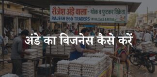 ande ka business kaise kare