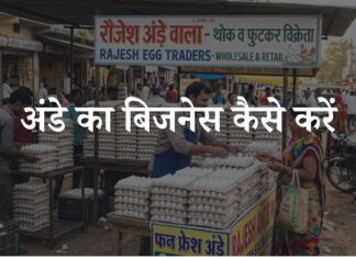 ande ka business kaise kare