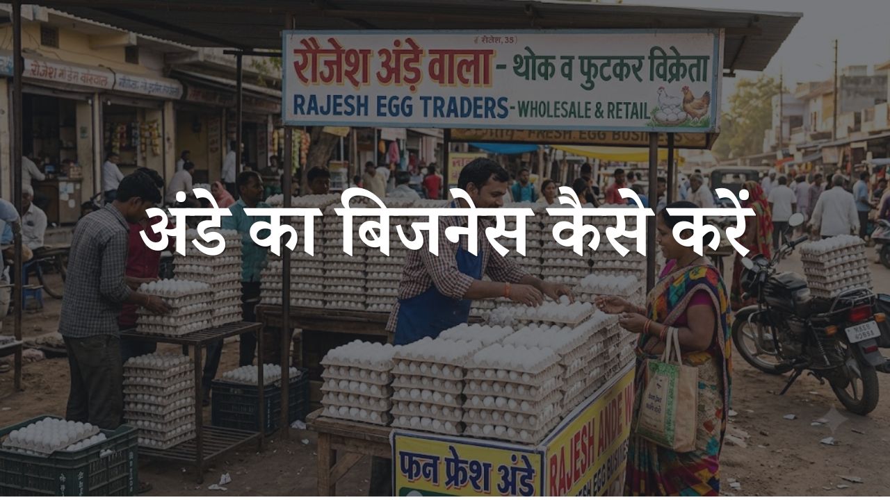 ande ka business kaise kare