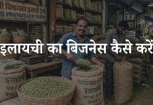 इलायची का बिजनेस कैसे करें? जानिए पूरी प्रक्रिया elaichi ka business kaise kare
