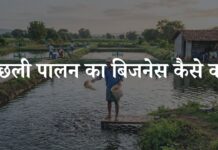 भारत में मछली पालन का बिजनेस कैसे करें? जानिए पूरी प्रक्रिया fish ka business kaise kare