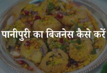 पानीपुरी (गोलगप्पे) का बिजनेस कैसे करें? पूरी जानकारी हिंदी में pani puri ka business kaise start kare
