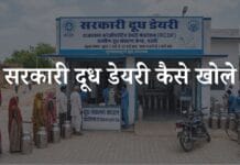 सरकारी दूध डेयरी कैसे खोलें? जानिए पूरी प्रक्रिया sarkari dudh dairy kaise khole